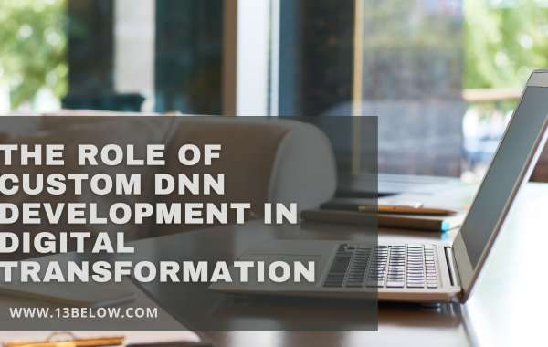 The Role of Custom DNN Development in Digital Transformation