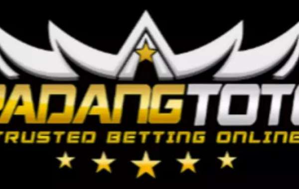 Padangtoto: A Trusted Platform for Online Lottery Enthusiasts