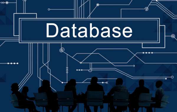 Database Management: The Backbone of Modern Data