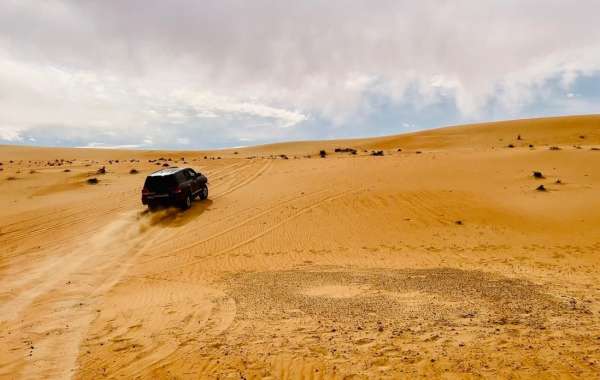 Liwa Desert Safari