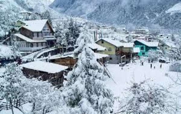 Lachung Temperature, Weather, and Best Time to Visit: A Complete Guide