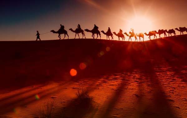 Exploring Desert Safari Dubai, Dubai Safari, and Must-Do Activities for Visitors