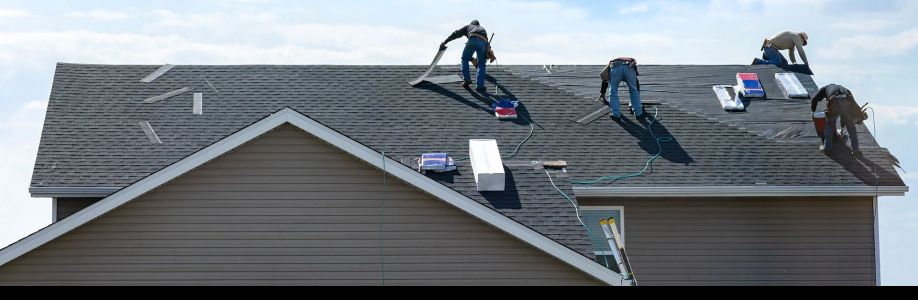 Stump Metal Roofing Cover Image