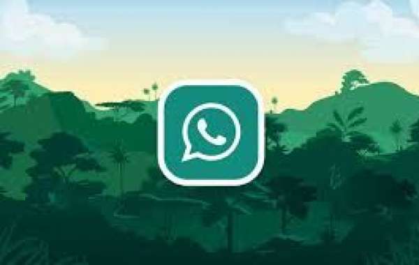 GB WhatsApp Pro: A Comprehensive Guide to Features, Installation, and Benefits