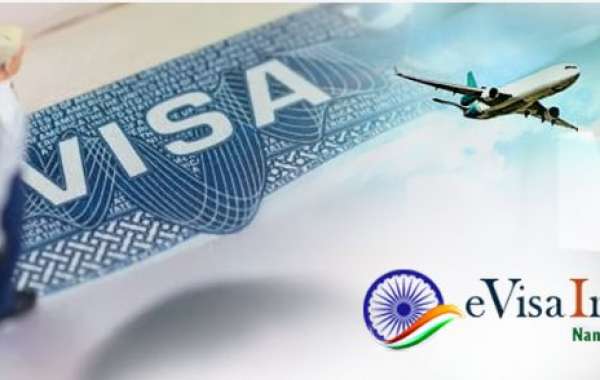 Things UK citizens can expect from reliable experts concerning an Indian tourist visa application