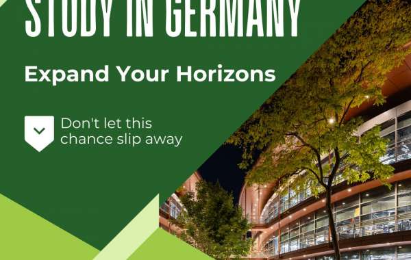 How German Education Consultants Help Students Optimize Their Statement of Purpose and Letters of Recommendation