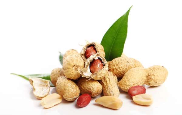 How Is the Edible Peanut Powder Market Evolving Globally?