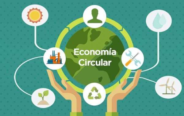 Doctorado en Economía Circular: Transformando el Futuro con Sostenibilidad