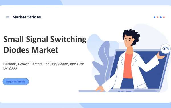 Small Signal Switching Diodes Market Analysis and Growth Projections, 2025-2033