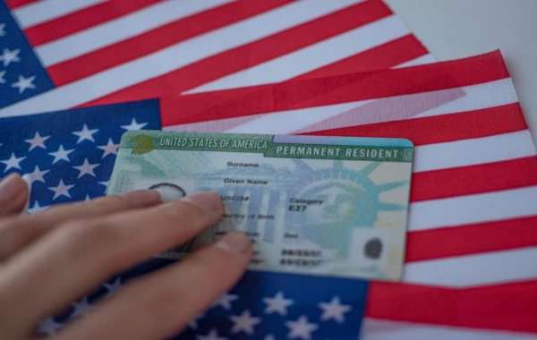 How to Navigate EB1 Green Card Requirements and Secure Your EB1A Visa with Brandosaur