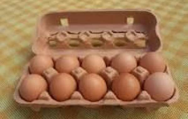 The Essential Guide to Egg Cartons Everything You Need to Know