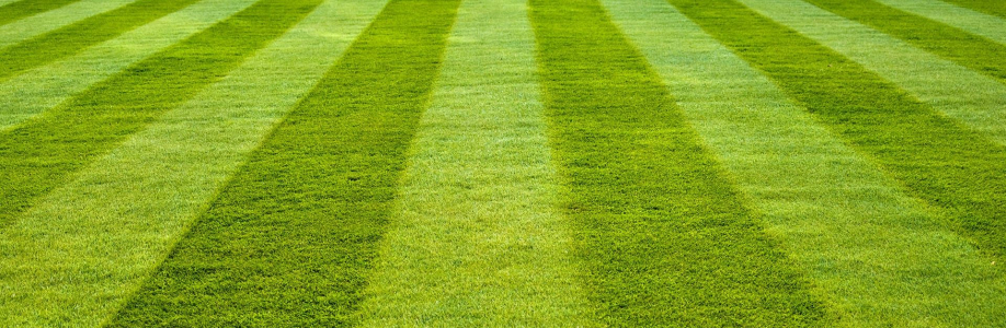 Auzzie Turf Cover Image