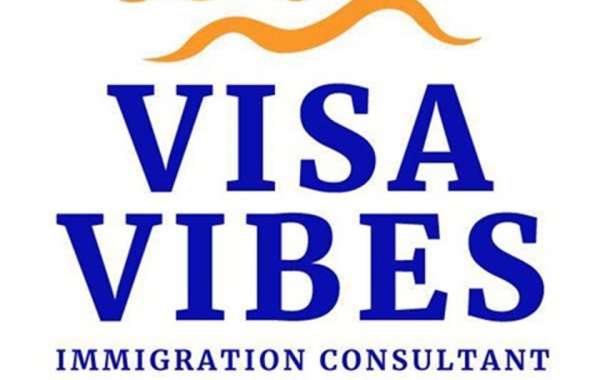 Best Migration Agent Australia – VISA VIBES PTY LTD Services