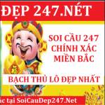 Soi cầu đẹp 247 Profile Picture