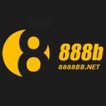 888B Net Profile Picture