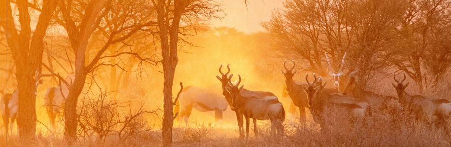 Minkie du Toit Photography Cover Image