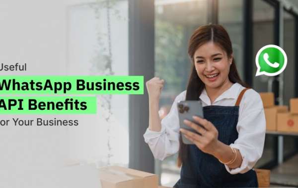 Unlocking Growth: Useful WhatsApp Business API Benefits for Your Business