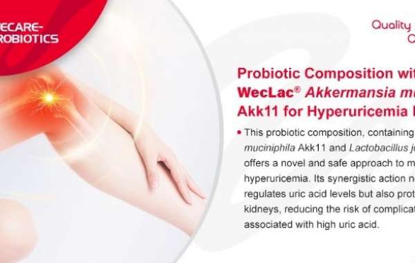 Probiotic Composition with Akkermansia muciniphila Akk11 for Hyperuricemia Relief