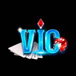 VicClub Profile Picture