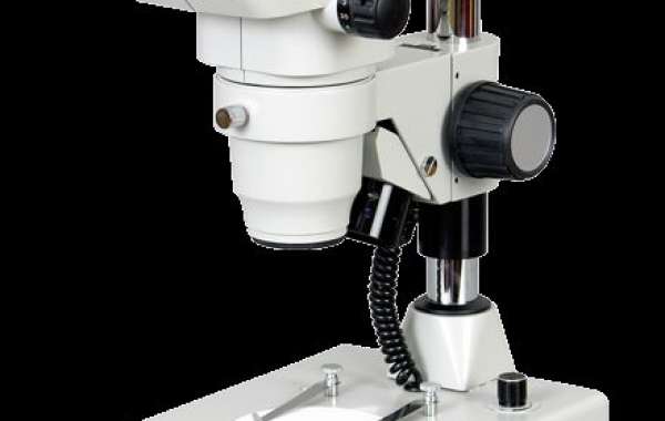 What Are the Best Practices for Microscope Safety?