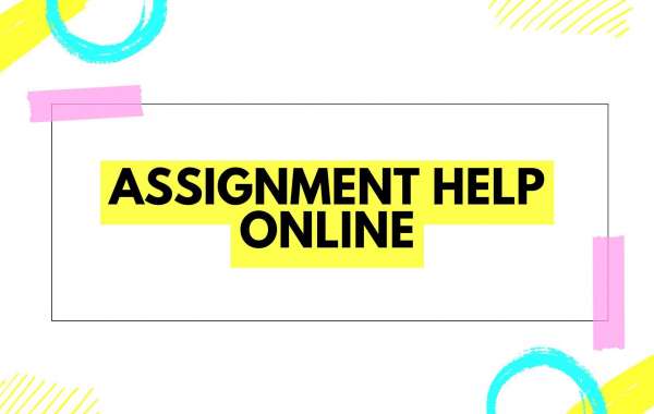 Best Assignment Help: Your Ultimate Guide to Academic Success