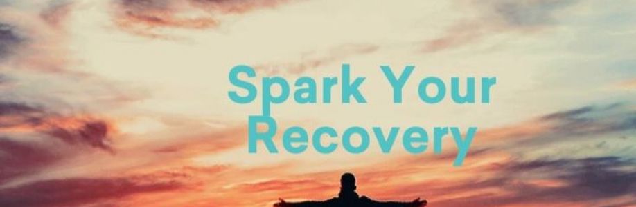 Spark Recovery Cover Image