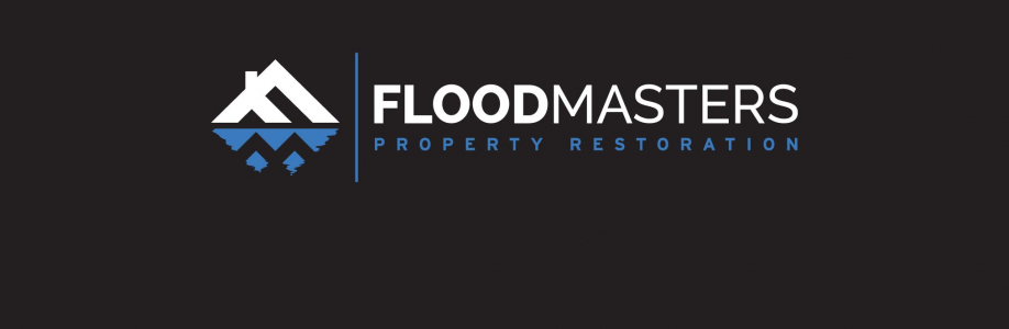 The Flood Masters Cover Image