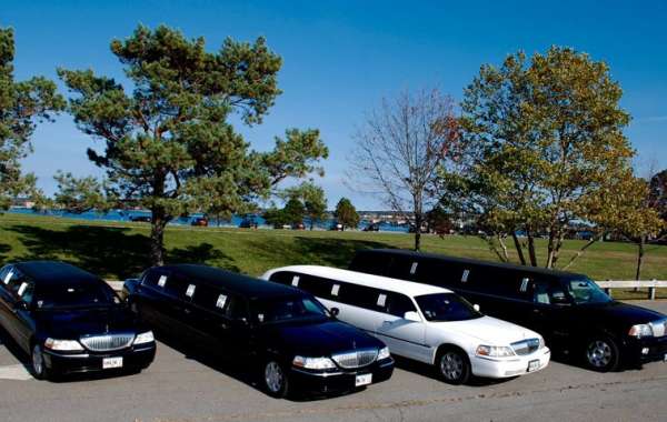 The Top Reasons to Hire a Limo for Your Orlando Vacation