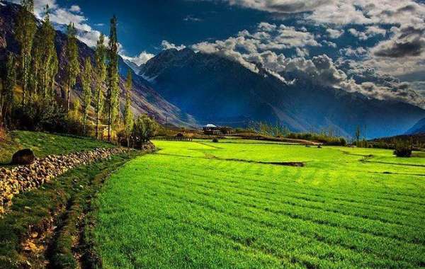 Explore Pakistan with Premium Tour Packages for 2025