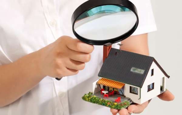 Mold Testing in Hidden Hills: Ensuring a Safe and Healthy Home