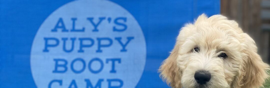 alyspuppybootcamp Cover Image