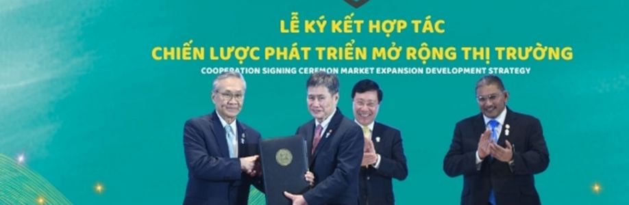 timnhanh1 Cover Image