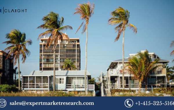 Vacation Rentals Market: Trends, Dynamics, and Forecast 2025-2034