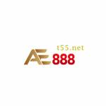 AE888 t55 Profile Picture