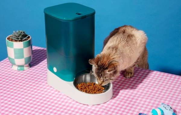 Best Cat Feeder: Why an Automatic Cat Feeder is the Perfect Solution for Your Feline Friend