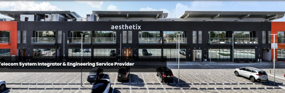Aesthetix . Cover Image