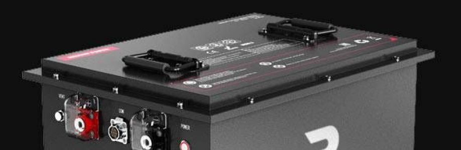 LiFePO4 Battery Factory Cover Image