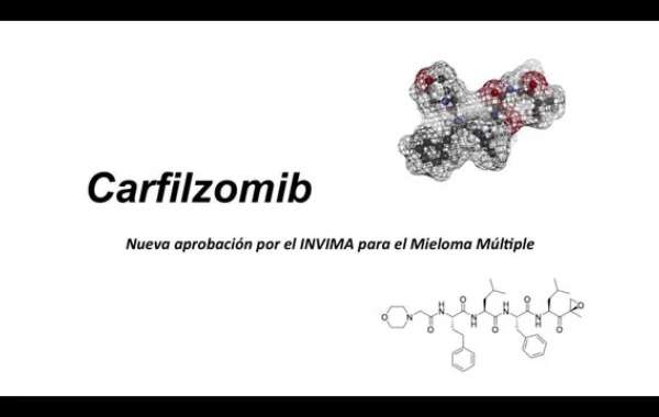 Carfilzomib Market Dynamics: Cancer, Treatment Options & Distribution Channel Analysis (2024-2034)