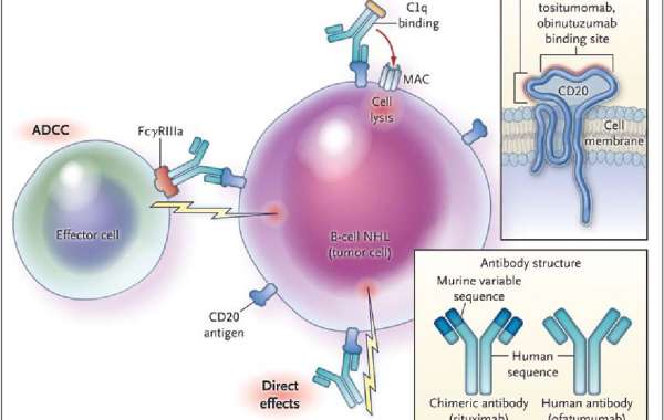 Future Obinutuzumab Market: A Detailed Study of Growth by Region and Indication