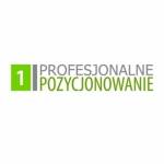 Profesjonalne Pozycjonowanie Profile Picture