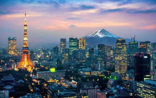 What Airports Does Delta Fly Into in Tokyo?