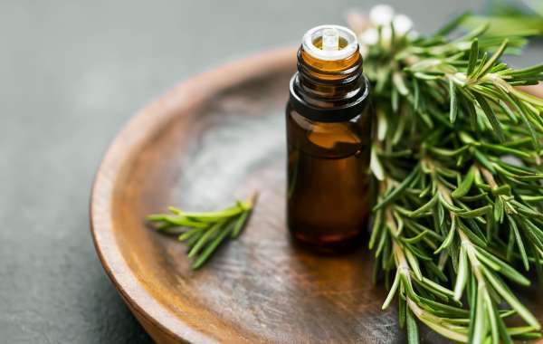 Golden Rosemary for Hair: The Common Mystery to More beneficial, More grounded Locks