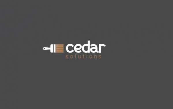 Rely on the Cedar Experts for Top-Quality Cedar Cleaning