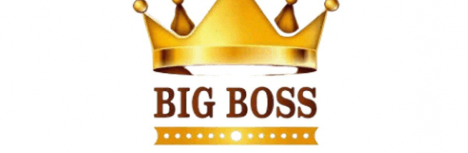 Bigboss Trade Forex Cover Image