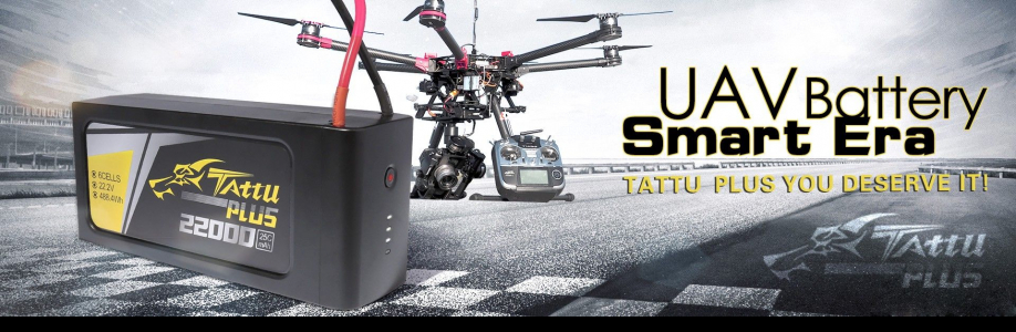 Lipo Battery Cover Image