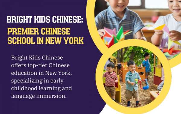 Join the Best Chinese Classes for Kids in New York – Bright Kids Chinese School