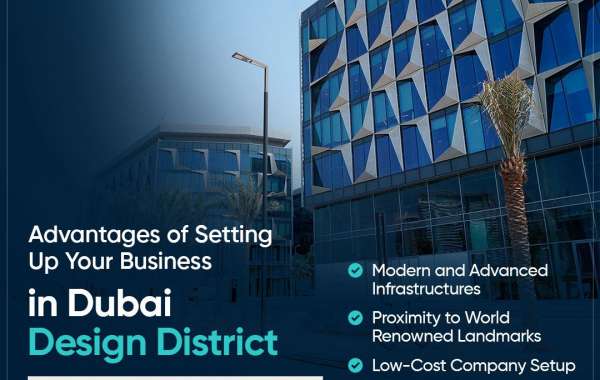Company Setup in Dubai | Expert Business Solutions by Consult Zone