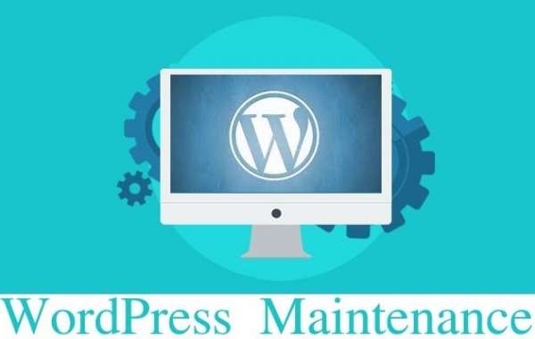 Why Every Website Needs Professional WordPress Maintenance Services