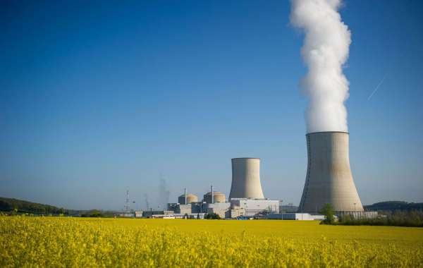 Key Challenges and Solutions in Nuclear Licensing Processes