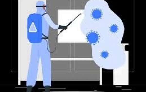Understanding the Importance of Professional Pest Control